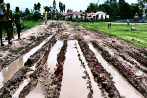 গর্ত-কাদা আর ভাঙাচোরা সড়ক, নবীগঞ্জে দুর্ভোগে কয়েক হাজার মানুষ
