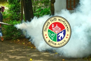 মশক নিধনে জনবল সংকটে সিসিক