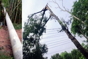 কুলাউড়ায় কালবোশেখী ঝড়: বিদ্যুৎ ব্যবস্থা লন্ডভন্ড