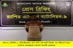 সম্পত্তি বিরোধে মতিন হত্যা: মামলার আসামি মোস্তফা গ্রেপ্তার