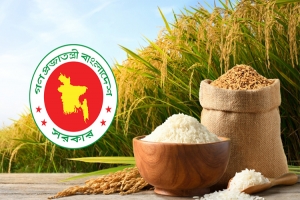 ৩৬ টাকায় ধান ও ৪৯ টাকায় চাল কিনবে সরকার