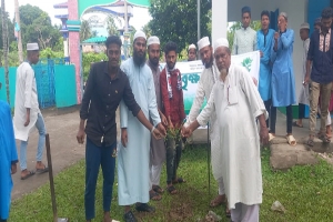 বালাগঞ্জে গ্রীন এন্ড ক্লিনের বৃক্ষরোপণ কর্মসূচির উদ্বোধন