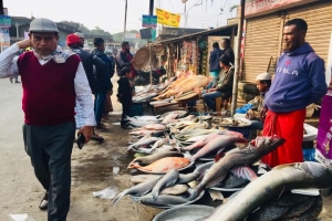 বিশ্বনাথে ঐতিহ্যবাহী মাছ মেলায় দর্শনার্থীদের ভিড়