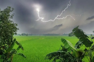 হাওরাঞ্চলে ‘মাল্টিপারপাস শেড’ নির্মাণের পরিকল্পনা