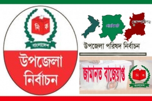 সিলেটের তিন উপজেলায় জামানত হারালেন ১৩ প্রার্থী