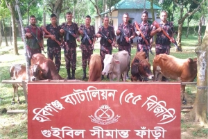 হবিগঞ্জে বিজিবির অভিযানে ৭০ লাখ টাকার ভারতীয় পণ্য ও মাদক জব্দ