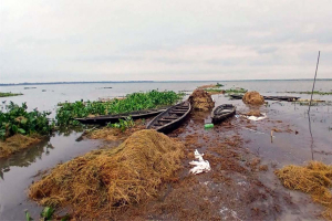 বৃষ্টি ও পাহাড়ি ঢলের পানিতে চরম দুর্গতিতে কৃষকরা