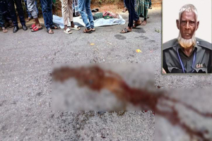 লাউয়াছড়ায় গাড়িচাপায় সিপিজি সদস্যের মৃত্যু