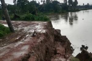কুশিয়ারার ভাঙনে বিলীন হচ্ছে ঘরবাড়ি ও ফসলি জমি