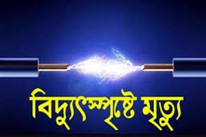 ওসমানীনগরে বিদ্যুৎপৃষ্টে স্যানেটারী মিস্ত্রির মৃত্যু