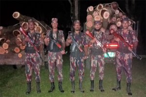 বিয়ানীবাজারে দুই পিকাআপবর্তী কাঠ জব্দ করলো বিজিবি