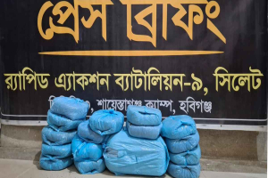 ২০ কেজি গাঁজাসহ দুই মাদক কারবারি গ্রেফতার