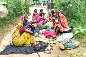 সবুজ পাতার আড়ালে চা শ্রমিকের দুপুরের খাবার ‘পাতিচখা’