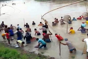 জগন্নাথপুরে ঐতহ্যবাহী পলো বাওয়া উৎসব