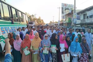 ৩১ দফা বাস্তবায়ন করতে  ধানের শীষকে বিজয়ী করতে হবে : তামান্না