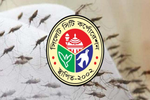 মশার অসহনীয় উপদ্রবে অতিষ্ঠ নগরবাসী মশার অসহনীয় উপদ্রবে অতিষ্ঠ নগরবাসী