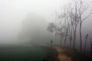 দেশের সর্বনিম্ন তাপমাত্রা শ্রীমঙ্গলে