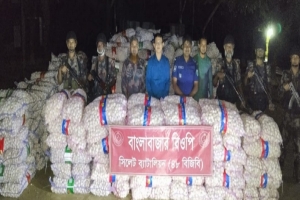 সিলেটে বিজিবি'র অভিযানে ৯৩ লক্ষাধিক টাকার চোরাই পণ্য জব্দ