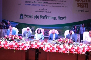 বিশ্ববিদ্যালয় ক্যাম্পাস সমূহ র‌্যাগিং ও মাদক মুক্ত রাখতে হবে: প্রফেসর ড. মাছুমা হাবিব