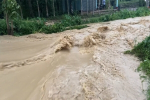 'তারা ডাইক কেটে দেয়ায় আমাদের সর্বনাশ হয়েছে'