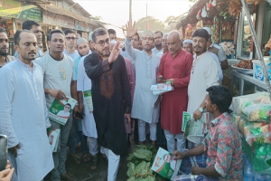 'গণতন্ত্র সুসংহত রাখতে ধানের শীষ প্রতীককে বিজয়ী করতে কাজ করতে হবে'