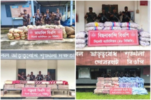 সিলেটের সীমান্তে কোটি টাকার ভারতীয় পণ্য জব্দ
