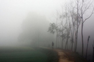 শ্রীমঙ্গলে দেশের সর্বনিম্ন তাপমাত্রা