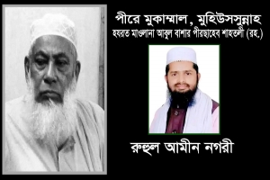 পীরে মুকাম্মাল, মুহিউসসুন্নাহ 'পীরছাহেব' শাহতলী রহ.