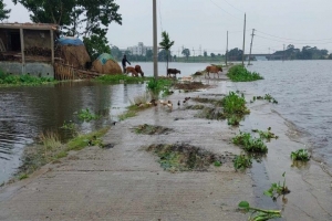 রোদ ঝলমলে আকাশ নিয়ে স্বস্তিতে সুনামগঞ্জবাসী