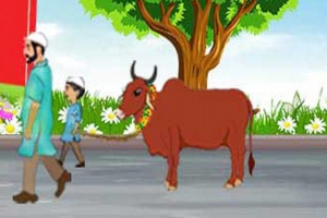 যাদের ওপর কোরবানি ওয়াজিব