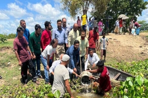 হাওরের ভাসমান পানিতে পোনা মাছ অবমুক্ত