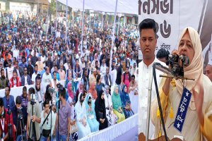 ইলিয়াস আলীর গুমের জবাব ব্যালটের মাধ্যমে দিতে হবে : তাহসিনা রুশদীর লুনা